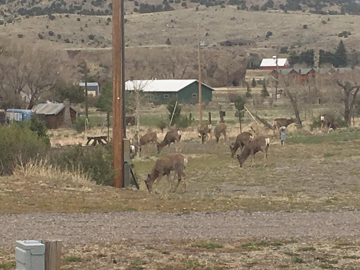 South Fork Lodge & Rv Park Colorado 外观 照片